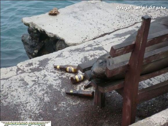 صور طريفه وغريبه