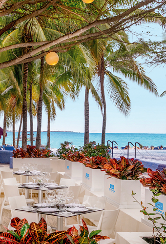Grand Oasis Palm Cancun Award-Winning Restaurants