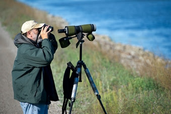 birdwatcher with scope on shoreline