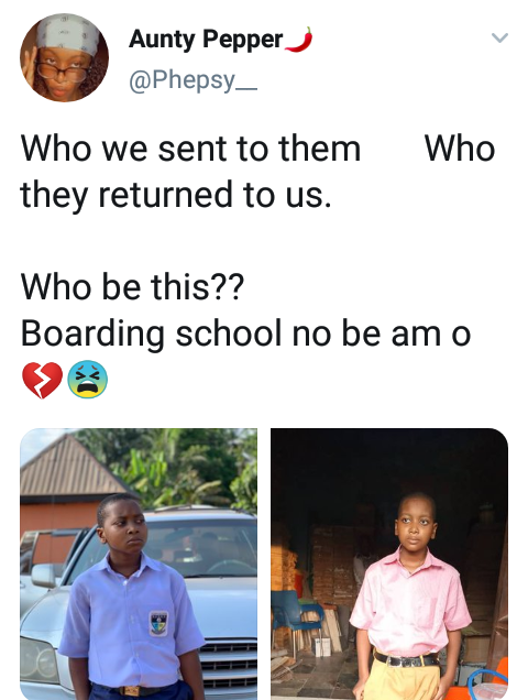 "Who we sent vs who they returned to us"- Nigerian lady expresses shock over her brother