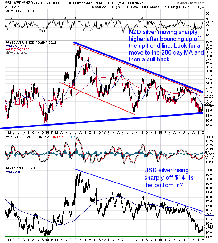 NZ Dollar Silver Chart