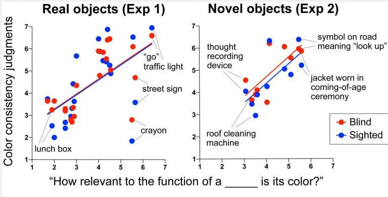 Blind people can't see color, but understand it the same way as sighted people