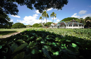 The Sun Is Setting On One Of Hawaii’s Last Legacy Estates