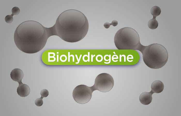 Biohydrogène