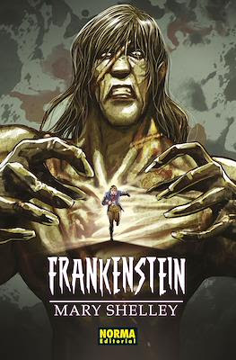 Frankenstein (Rústica 328 pp)