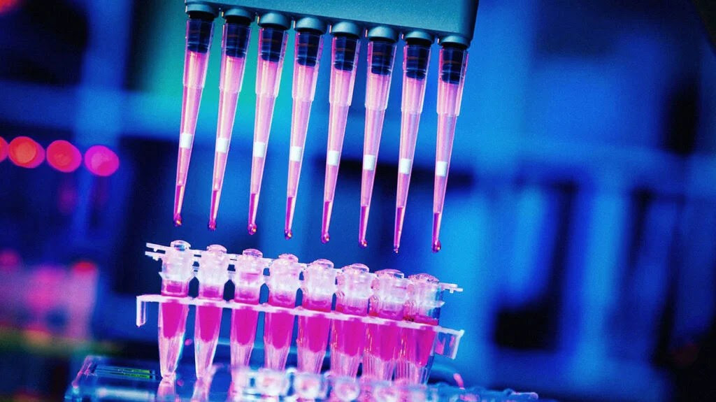 close up of pink pipettes in a lab