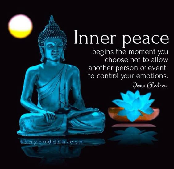 Inner Peace Begins The Moment You Choose Not To Allow Another Person To Control Your Emotions. ~Pema Chodren~