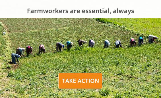 http://www.panna.org/take-action/lets-block-proposed-wage-cut-farmworkers?utm_source=action&utm_medium=alert&utm_campaign=h2a&link_id=0&can_id=509b4ac7815640277fb9fc935571db87&email_referrer=email_779344&email_subject=firstname-default-friend-lets-block-farmworker-wage-cuts