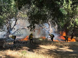 Firefighters working along the Lake Fire in Los Angeles County in California in August.