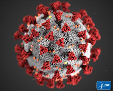 An illustration depicting the structure of coronaviruses. Red spikes adorn the outer surface of the virus, which appears as a gray sphere.