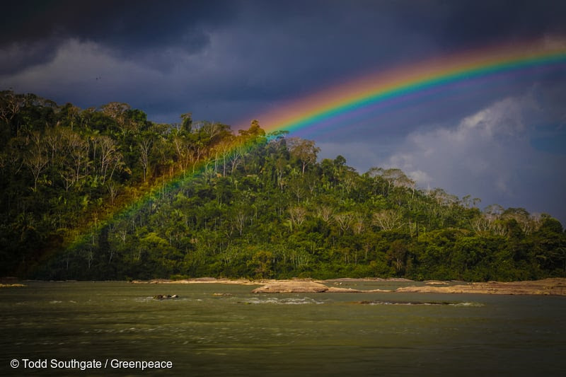 Todos Pela Amazônia