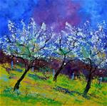 Spring appletrees - Posted on Tuesday, January 27, 2015 by Pol Ledent