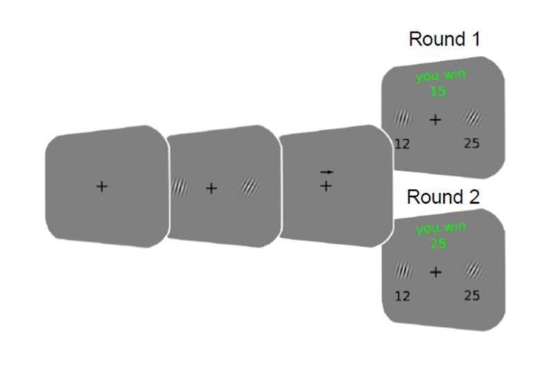 Visual perception is more rational than we think