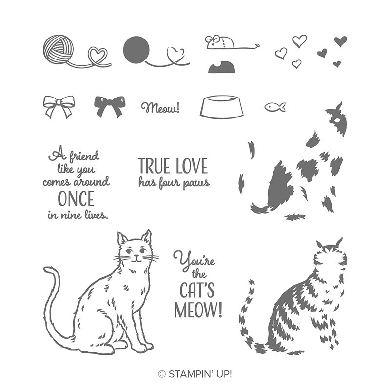 cat themed stamp set