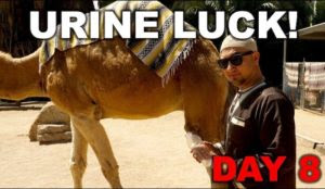 Islamicize Me Day 8: Urine Luck!