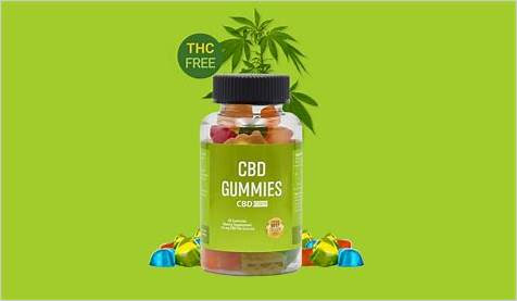 Experience the Bliss of Bloom CBD Gummies Dana Perino: A Game-Changing CBD  Product for a Mindful Lif