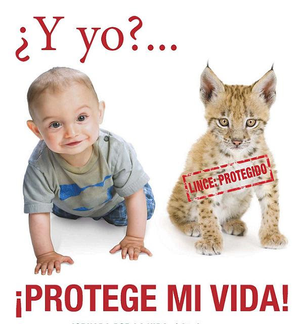 http://i.bssl.es/unomasenlafamilia/2012/01/provida.jpg