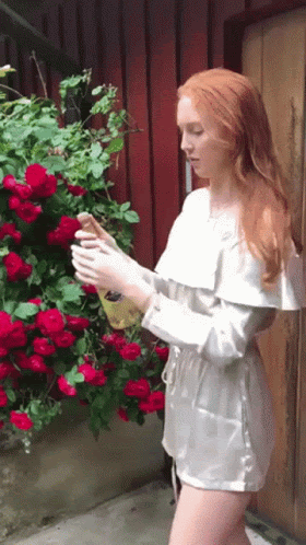 animation of champagne bottle spraying a woman