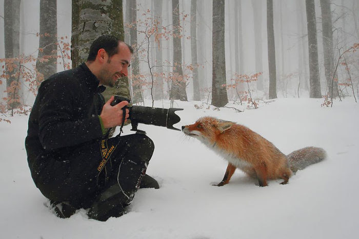 Nature                                                            Photographer