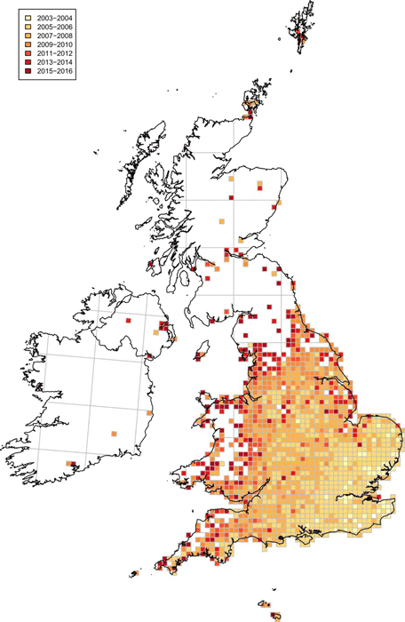 Mapping the Progression of Invasive Species with Crowdsourced Data