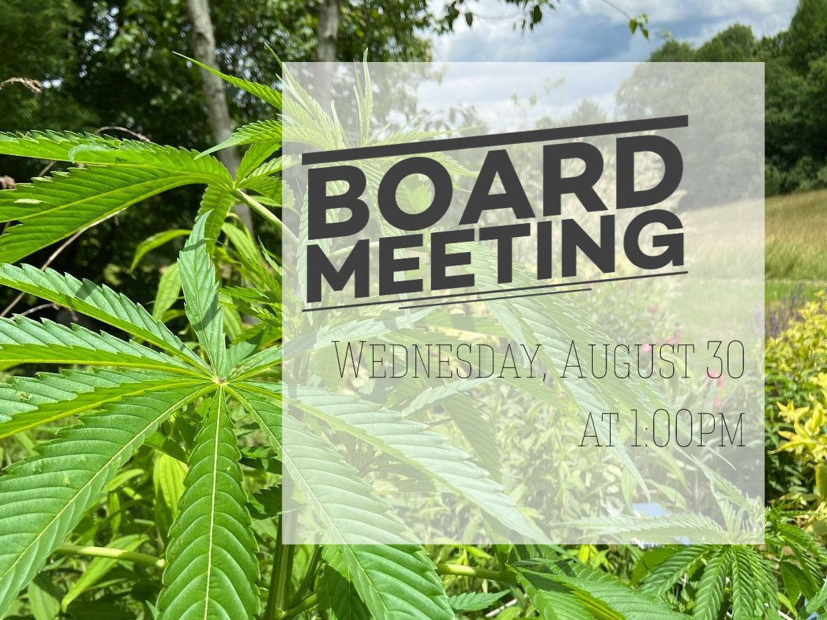 a graphic of a marijuana plant with the words board meeting wednesday august 30