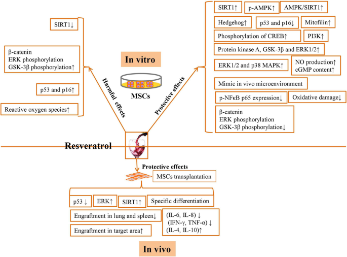 figure1