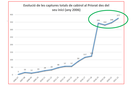 Captures de cabirol a la comarca del Priorat