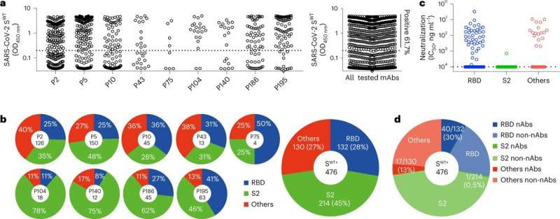 Unmasking the secret of broadly neutralizing COVID-19 therapeutic antibodies