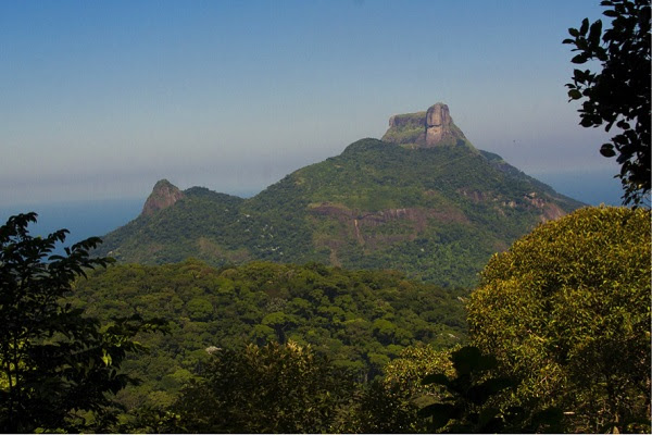 Parque_Nacional_da_Tijuca_menor._Foto-_Daniel_De_Granville_Fundacao_Grupo_Boticario..jpg