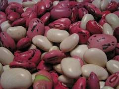 beans