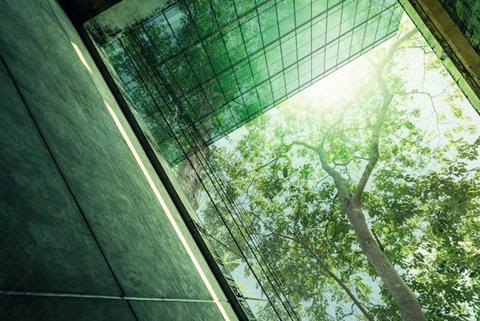 The side of a building with a tree growing alongside.