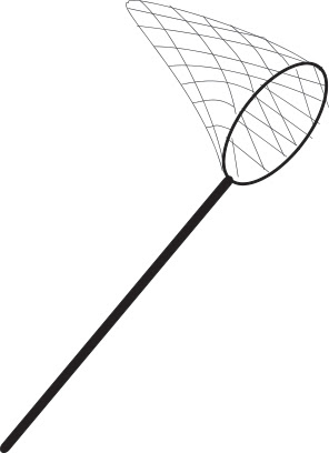 Dip Net