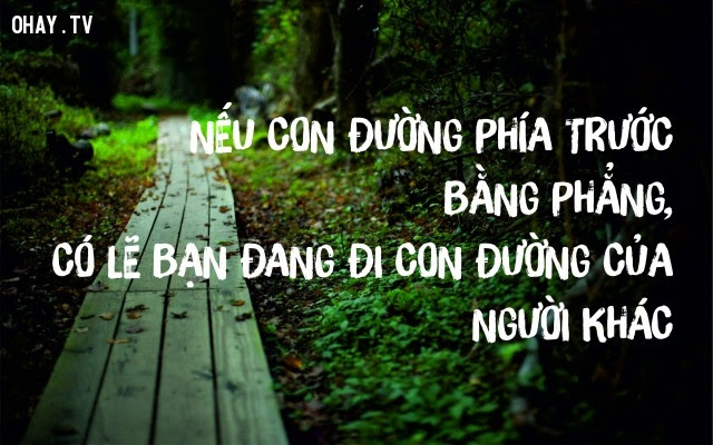 Nếu con đường phía trước bằng phẳng, có lẽ bạn đang đi con đường của người khác,suy ngẫm,câu nói hay,triết lý cuộc sống