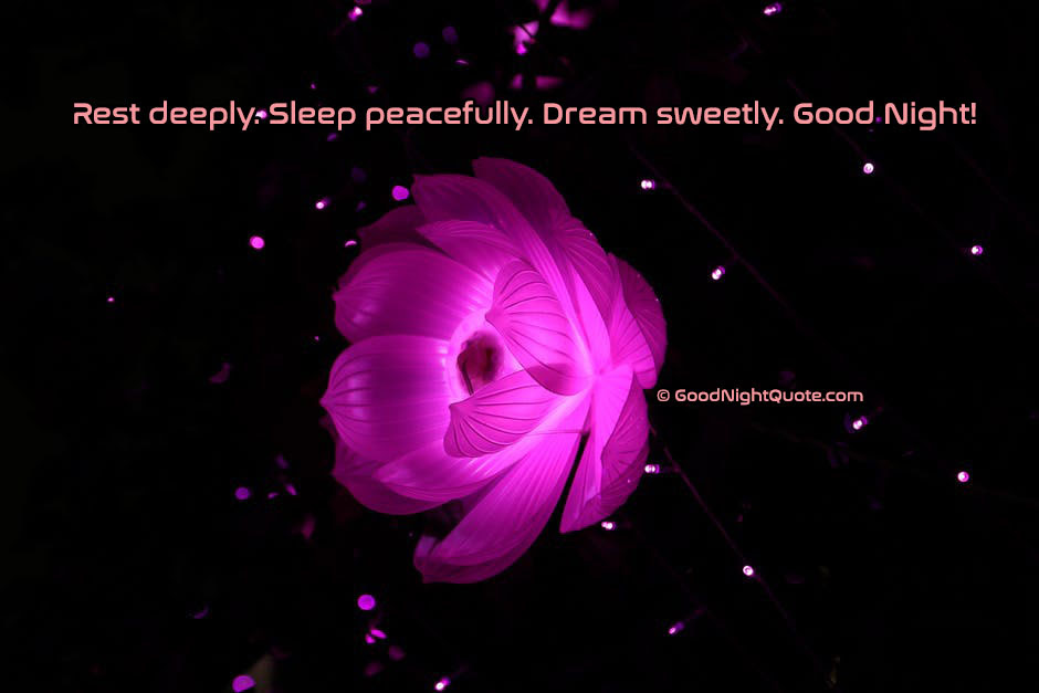 Rest deeply. Sleep peacefully. Dream sweetly. Good Night!