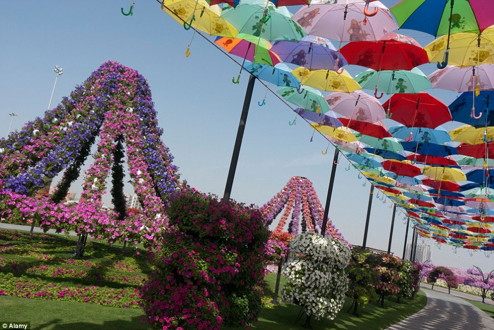A pathway shaded by umbrellas at the Miracle Garden, provides a colourful walkway for visiting guests