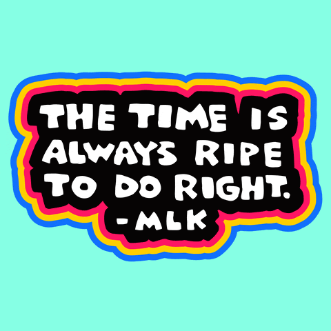 "The time is always ripe to do right."-MLK