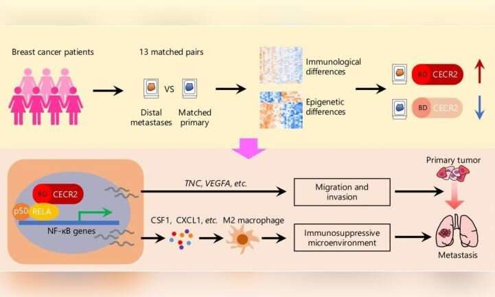 New path to treat advanced triple-negative breast cancer