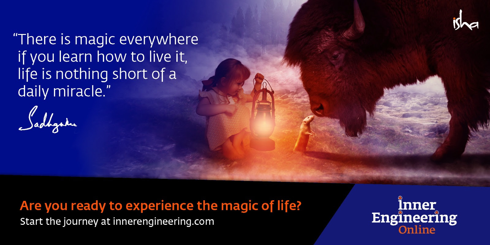 Are you ready to experience the magic of life?