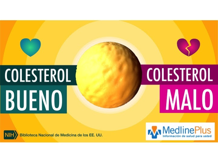pantallazo del video de MedlinePlus colesterol bueno, colesterol malo