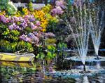 Garden Pond Reflections - Posted on Thursday, March 12, 2015 by Eileen Fong