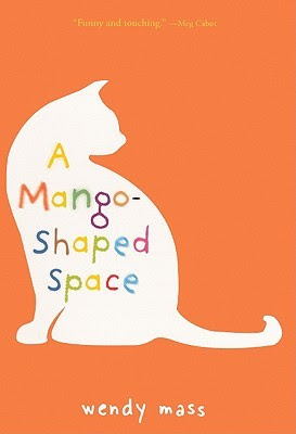 A Mango-Shaped Space PDF