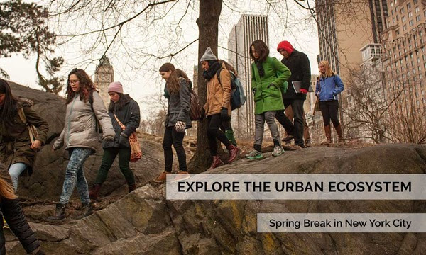 Explore the Urban Ecosystem