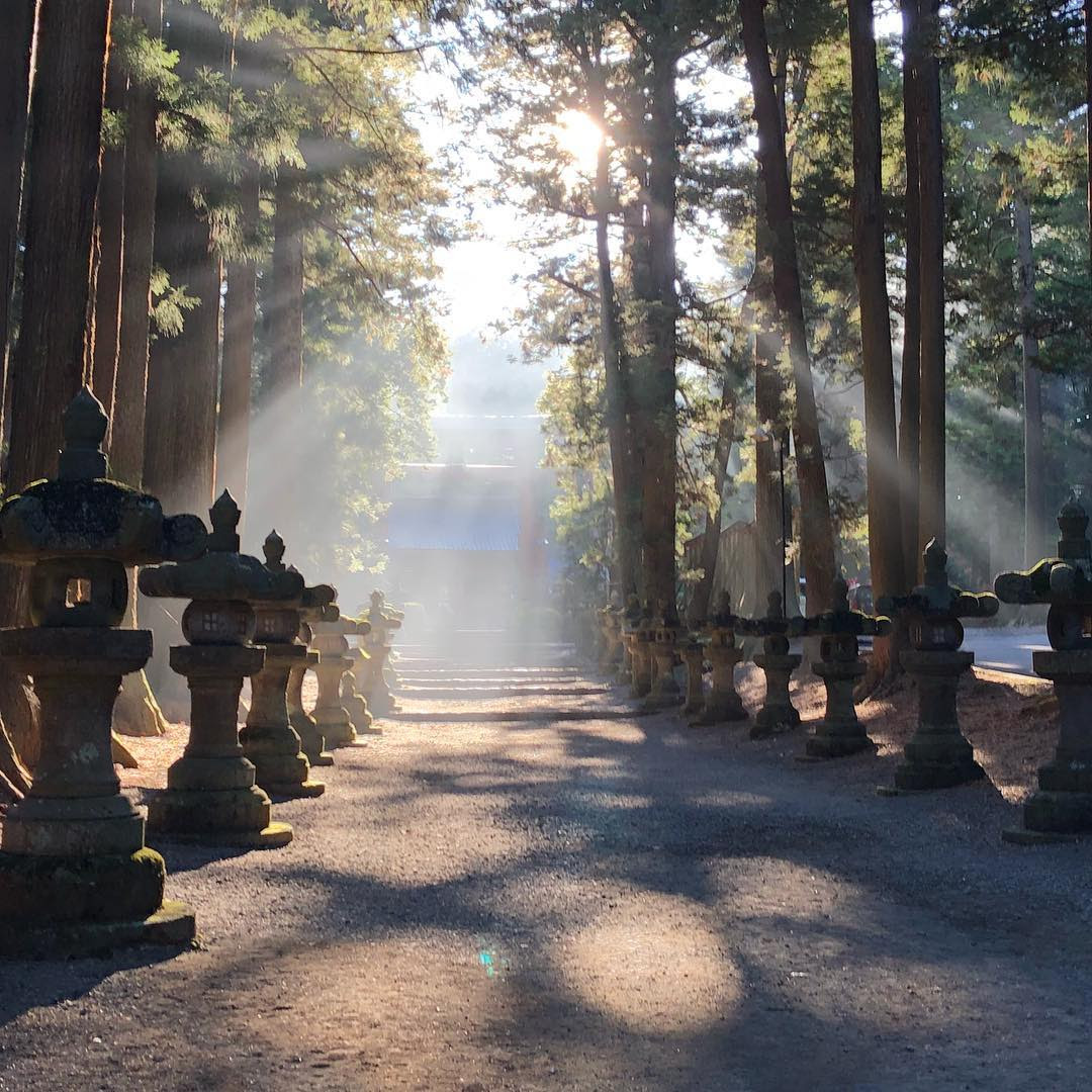 金運アップ画像