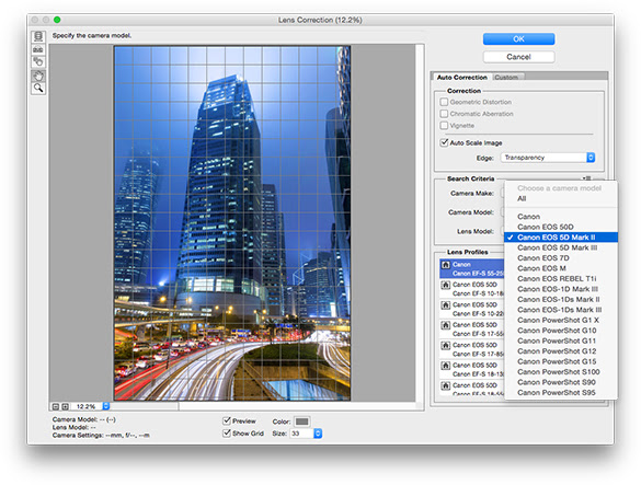 Choosing Camera Lens