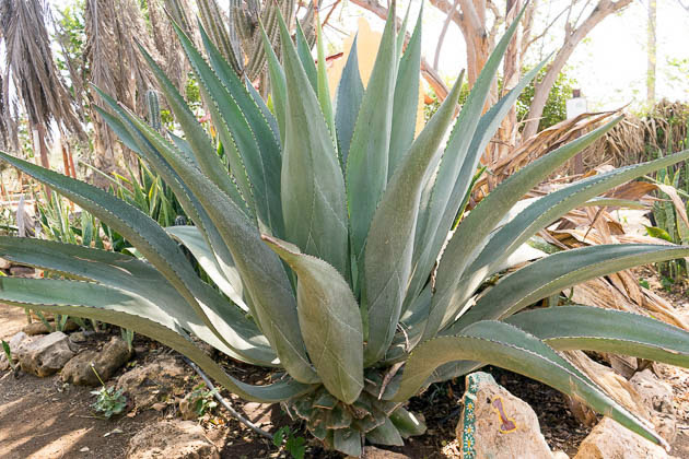 Jardín Botánico de Curazao