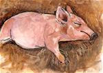 ACEO Sleeping Piggy Hog Straw Watercolor Art Painting illustration Penny StewArt - Posted on Thursday, March 19, 2015 by Penny Lee StewArt