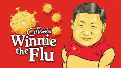 winnie the flu xi