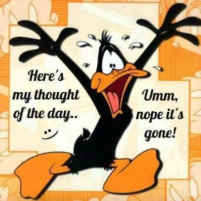 Image result for IMAGES OF DAFFY DUCK GONE MENTAL