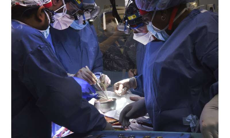 In 1st, US surgeons transplant pig heart into human patient