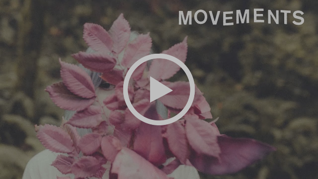 Movements - Daylily (Official Music Video)